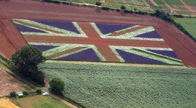 Supporting farmers post brexit